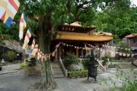 Xiamen, świątynia w ogrodzie botanicznym