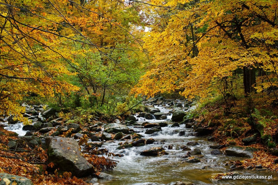 Jesień nad potokiem Wilczka